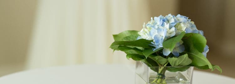 A vase filled with blue flowers on top of a table.
